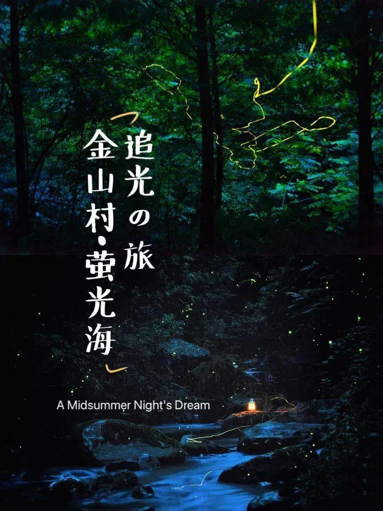 苏菲亚的婚纱