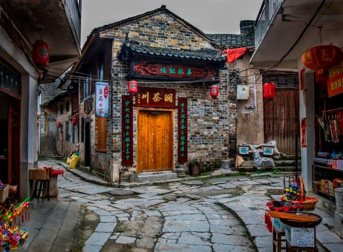 主人杀人,恶狗吃肉,带狗演完《老人与狗》电影后,人狗皆被枪毙